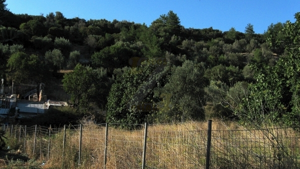 Πωλείται παλιό σπιτάκι με οικόπεδο στο Λισβόρι Λέσβου.