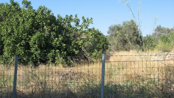 Πωλείται παλιό σπιτάκι με οικόπεδο στο Λισβόρι Λέσβου.