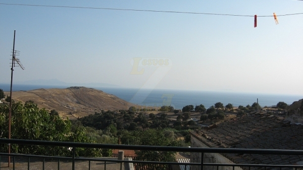 Πωλείται μονοκατοικία στον Μεσότοπο Λέσβου.