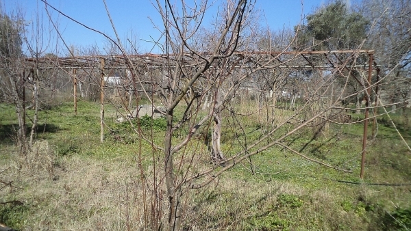 Πωλείται οικία με οικόπεδο στο Πέραμα Λέσβου.