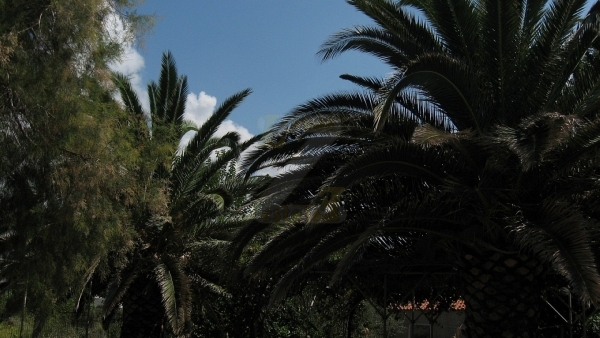 Πωλείται παραθαλάσσια μονοκατοικία στην Πέτρα Λέσβου.