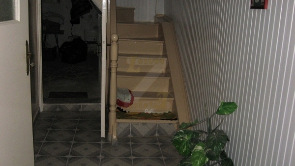 Πωλείται μονοκατοικία στο Πλωμάρι Λέσβου.