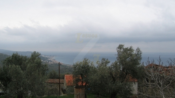 Πωλείται μεζονέτα στο Κάτω Χωριό Πλωμαρίου Λέσβου.