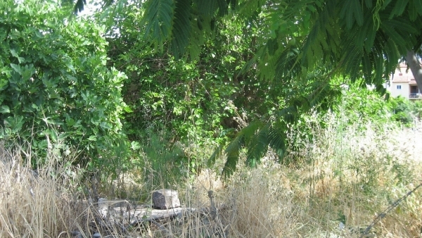 Πωλείται παλιά πέτρινη μονοκατοικία στον Πολιχνίτο Λέσβου.