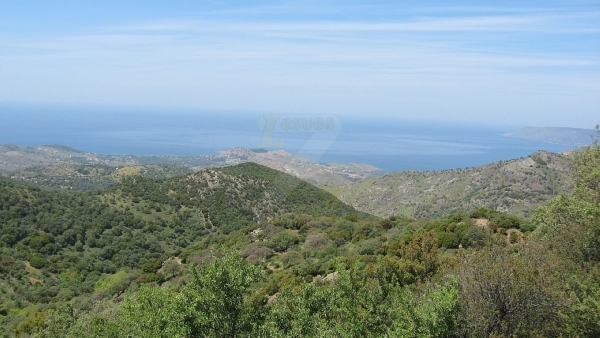 Πωλείται βοσκότοπος στην Μήθυμνα (Μόλυβο) Λέσβου.