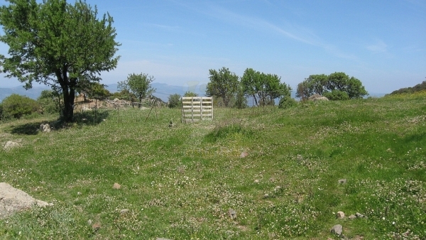 Πωλείται βοσκότοπος στην Μήθυμνα (Μόλυβο) Λέσβου.