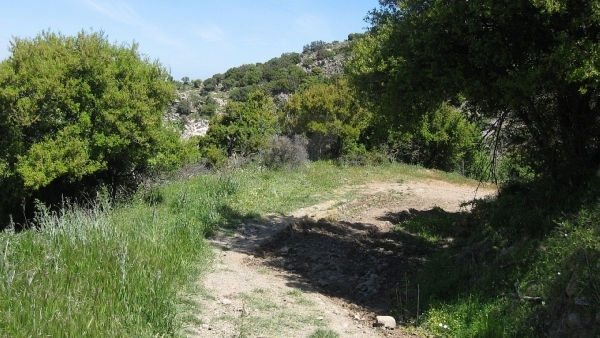 Πωλείται βοσκότοπος στην Μήθυμνα (Μόλυβο) Λέσβου.