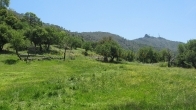 Πωλείται βοσκότοπος στην Μήθυμνα (Μόλυβο) Λέσβου.