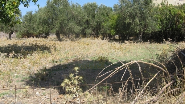 Ξενοδοχείο προς πώληση στην Μήθυμνα (Μόλυβο) Λέσβου.