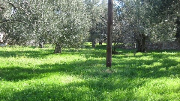 Ξενοδοχείο προς πώληση στην Μήθυμνα (Μόλυβο) Λέσβου.