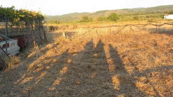 Πωλείται χωράφι στο Λισβόρι Λέσβου.