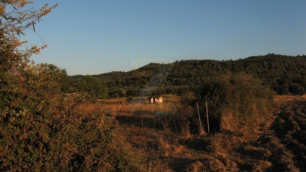 Πωλείται χωράφι στο Λισβόρι Λέσβου.