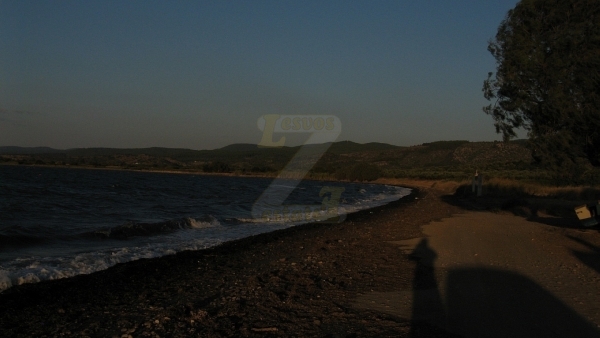 Πωλείται χωράφι στο Λισβόρι Λέσβου.