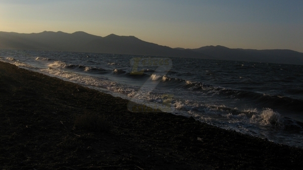 Πωλείται χωράφι στο Λισβόρι Λέσβου.