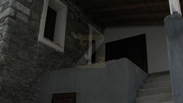 Ενοικιάζεται διαμέρισμα και μαγαζί στην Σκάλα Ερεσού Λέσβου.