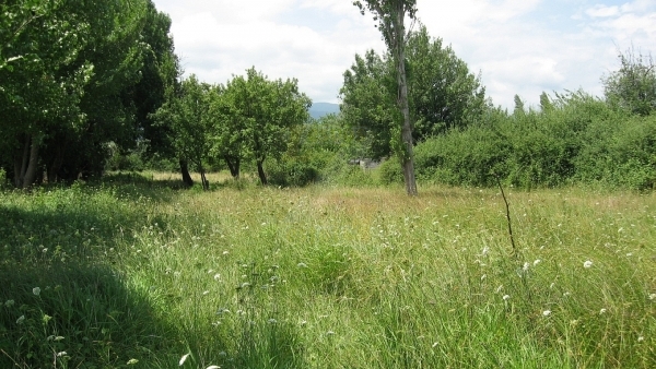 Πωλείται οικόπεδο στην Ευρειακή Γέρας Λέσβου. Πωλείται οικόπεδο στην Ευρειακή Γέρας Λέσβου.