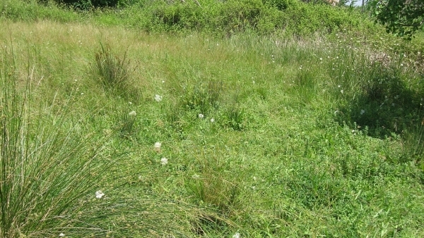 Πωλείται οικόπεδο στην Ευρειακή Γέρας Λέσβου. Πωλείται οικόπεδο στην Ευρειακή Γέρας Λέσβου.