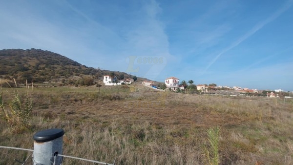 Πωλείται παραθαλάσσιο οικόπεδο στον Γαββαθά Λέσβου.
