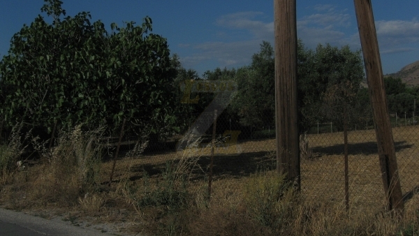 Πωλείται οικόπεδο στην Ερεσό Λέσβου.