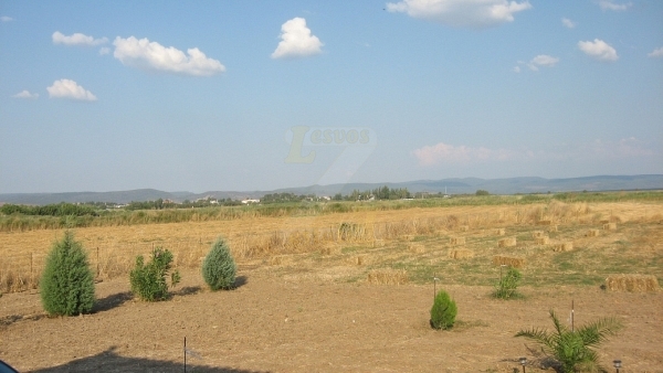 Πωλείται οικόπεδο στην Καλλονή Λέσβου.