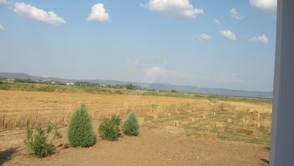 Πωλείται οικόπεδο στην Καλλονή Λέσβου.