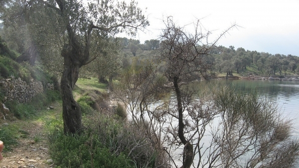 Πωλείται οικόπεδο στα Λουτρά Λέσβου.
