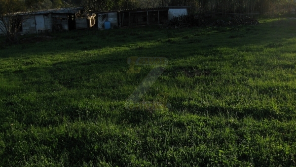 Πωλείται οικόπεδο στο Πέραμα Λέσβου.