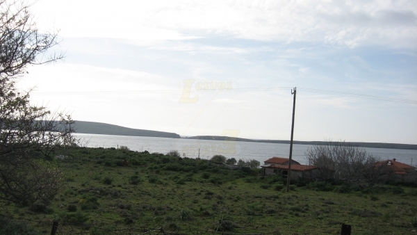 Πωλείται οικόπεδο στο Σίγρι Λέσβου.