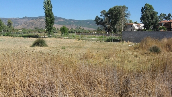 Πωλείται οικόπεδο στην Σκάλα Καλλονής Λέσβου.