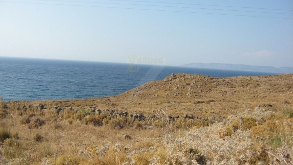 Πωλείται έκταση, με θέα στο Τσαμούρ Λιμάνι στο Σκαλοχώρι Λέσβου.