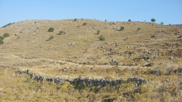 Πωλείται έκταση, με θέα στο Τσαμούρ Λιμάνι στο Σκαλοχώρι Λέσβου.