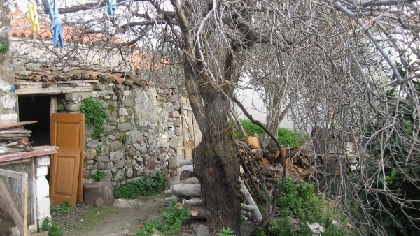 Πωλείται παλαιά μονοκατοικία στην Ερεσό Λέσβου.